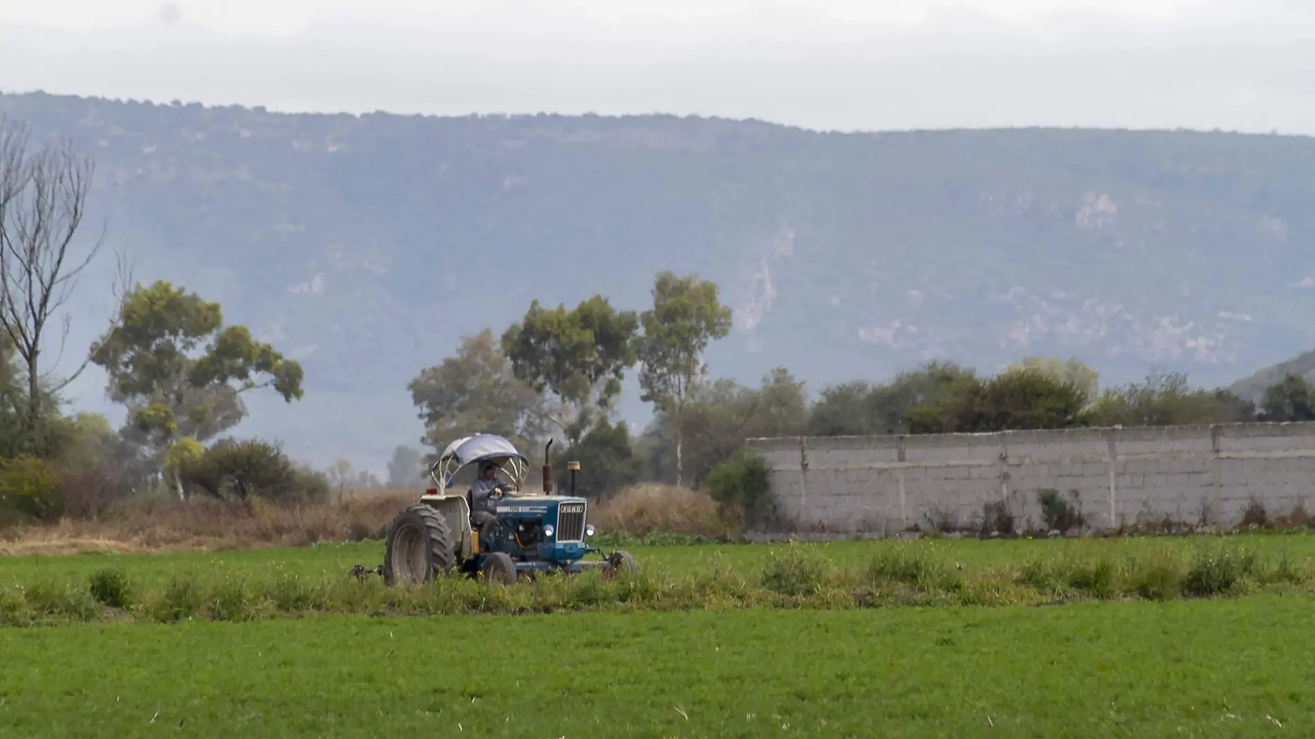 El gobierno estatal complementa los programas federales, debido a la reducción en el presupuesto para el campo. Foto César Ortiz